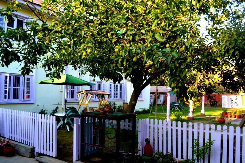Dove Cottage Srīnagar Екстериор снимка